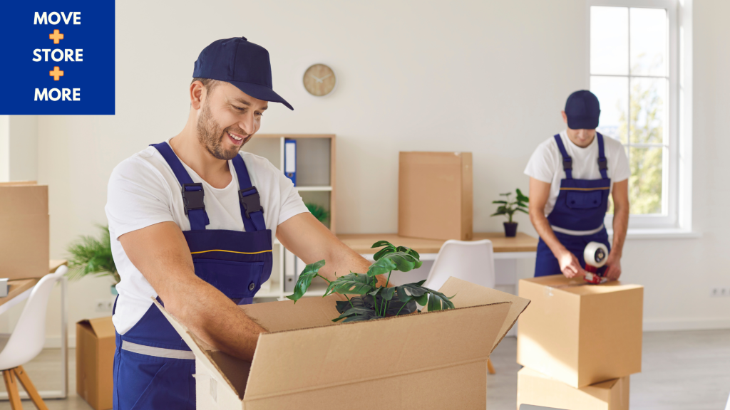 Image of two movers packing house plants into moving boxes.