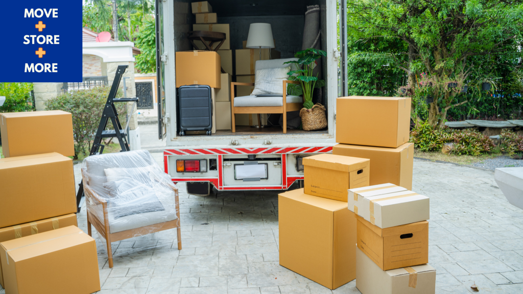 Image of a packed removal van with plants inside the vehicle.
