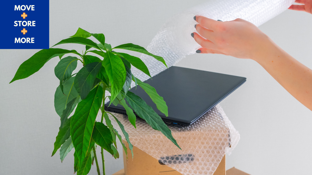 Image of someone wrapping a laptop in bubble wrap next to a house plant.