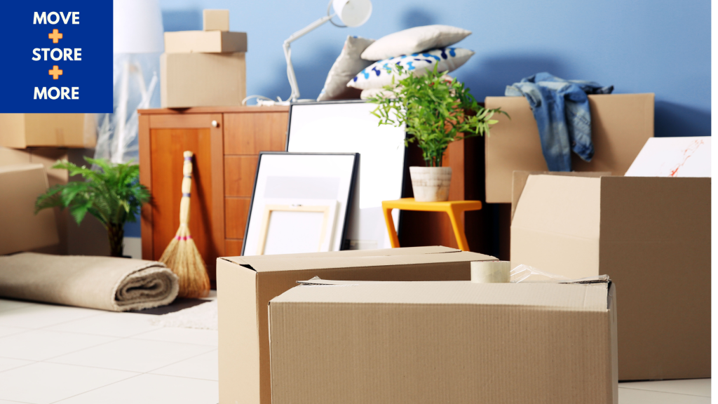 Image of a series of belongings, including plants, being stored.