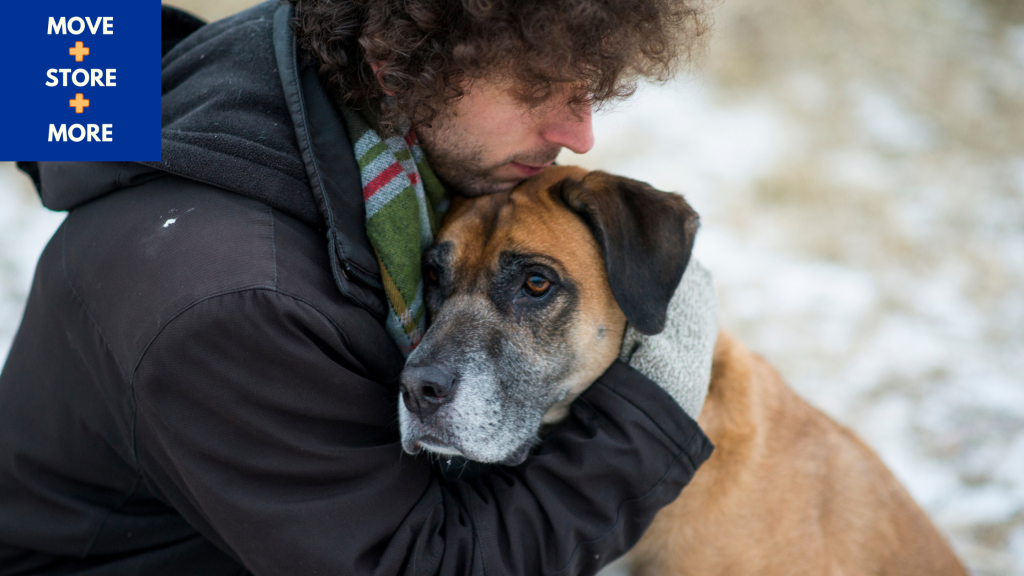 Image of pet owner comforting a nervous dog.