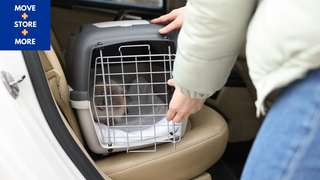 Image of pet owner preparing pet carrier.