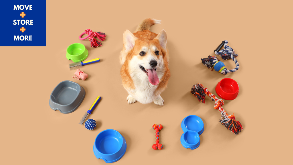 Image of a dog surrounded by a pet travel bag with toys, food, and a water bowl.