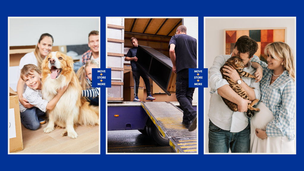 Collage of 3 images. Image 1 shows a family packing boxes while hugging a dog; image 2 shows movers carrying a large piece of furniture into a moving van; image 3 shows a couple hugging a cat.